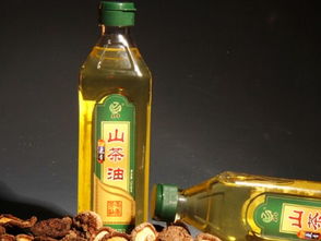 食用油選擇指南 從標簽到搭配，科學選油更健康