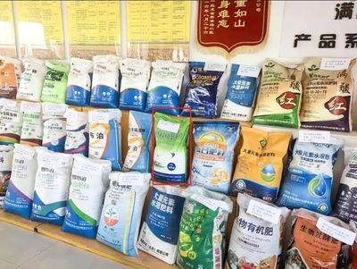 融合煥新促發展 文化賦能樹品牌——銷售分公司在糧食市場管理服務中的實踐與探索