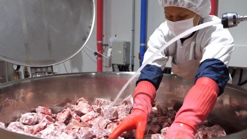 超大規模的韓國食品工廠,制作出來的排骨真是色香味俱全